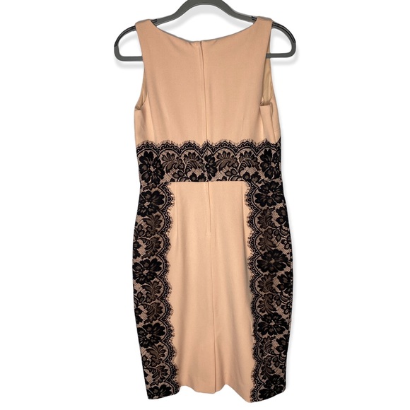 The Limited Blush w/ Black Lace Sleeveless Mid length Dress Women's Size 4 - Picture 7 of 9
